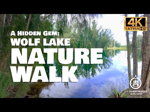 A Hidden Gem: Wolf Lake Nature Walk (Davie, FL)