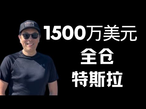 Thumbnail for 特斯拉散户1500万美元全仓特斯拉！预测股票今年到达500美元！