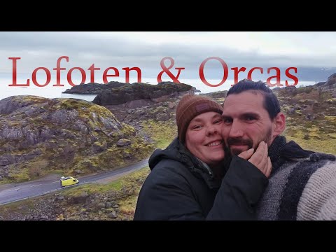 Lofoten & Orcas🌅🐬 | Jenni & Toni | Im Camper auf Europareise 🗺️Vanlife