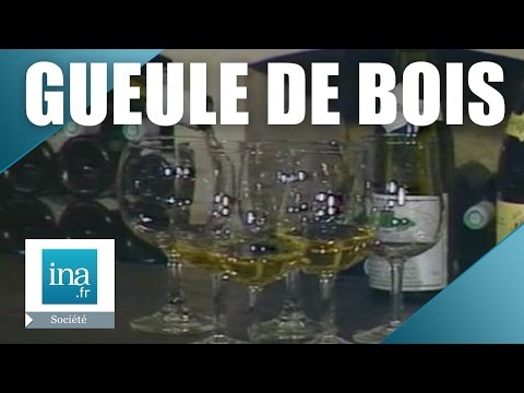 Comment éviter la gueule de bois ? | Archive INA