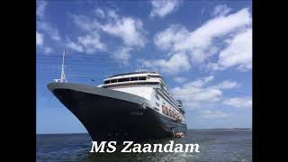 Interview mit Dieter Meier - Reise November 2019