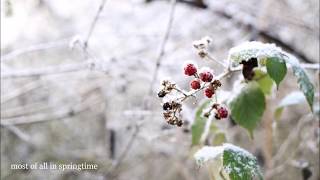 blackberry winter -  emilie conway