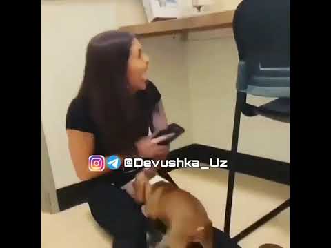 Yengi prikola x uzb devushkala obuna bolishi unitmeng