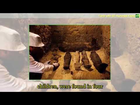 208 Breaking News   Tomb with 50 mummies found in Egypt