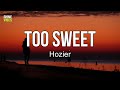 Hozier Too Sweet Lyrics It Can T Be Said I M An Early Bird