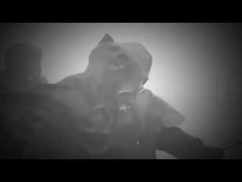 Mavorim - Der letzten Sonne Untergang Trackpremiere 2024