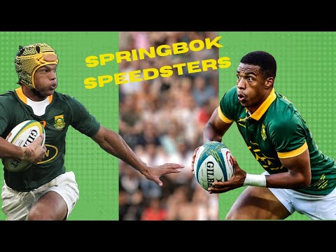 SPRINGBOK SPEEDSTERS: Grant Williams and Kurt Lee Arendse! Who is the faster athlete?