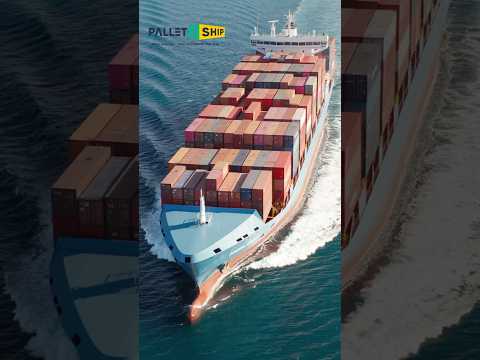 Pallet2Ship Sea Freight - FCL & LCL International Shipping
