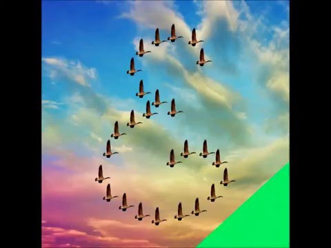 Everett - Welcome (New Sin) (Best)