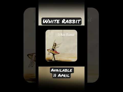 White Rabbit!Jefferson Airplane cover #whiterabbit #coversong #432Uk #432hzmusic #jeffersonairplane