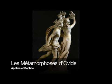 Apollo and Daphne - Ovid's Metamorphoses - Audiobook
