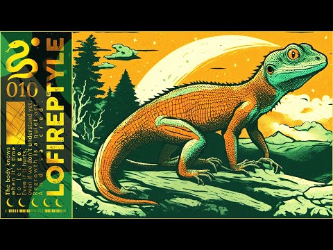 Jazz Boombap for Late-Night Schemes & Streetwise Dreams