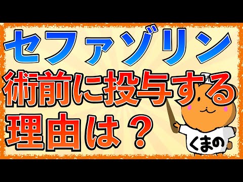 セファロフスについて詳しく解説