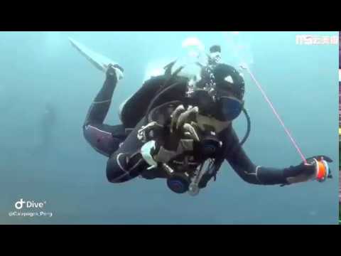 Demonstration of using SMB by Diver with 3000+ dives/ 3000潜经验潜水员示范如何打象拔