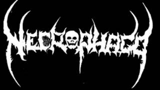 Necrophago - Necrophago