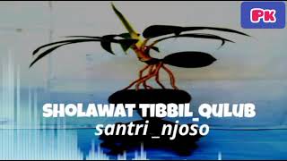 Download lagu Sholawat tibbil qulub santri njoso terbaru mp3