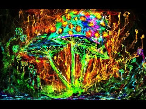 Nachtvogel - Psilocybin