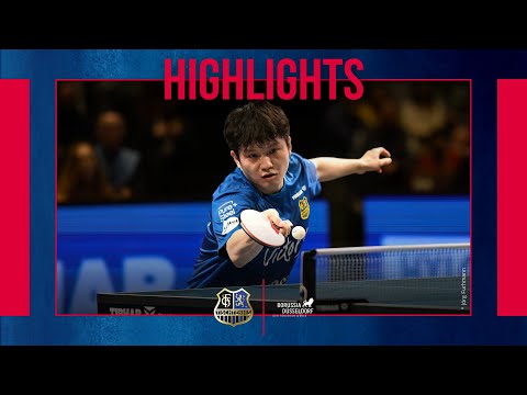 Highlights: Fan Zhendong - Borgar Haug