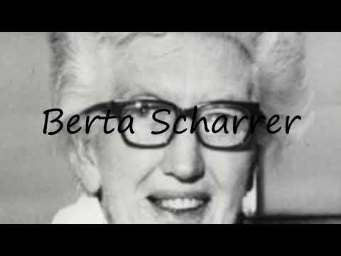 How to pronounce Berta Scharrer in Spanish?