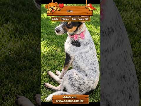 Vídeo de Kika
