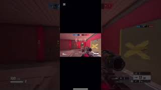 Montage#17