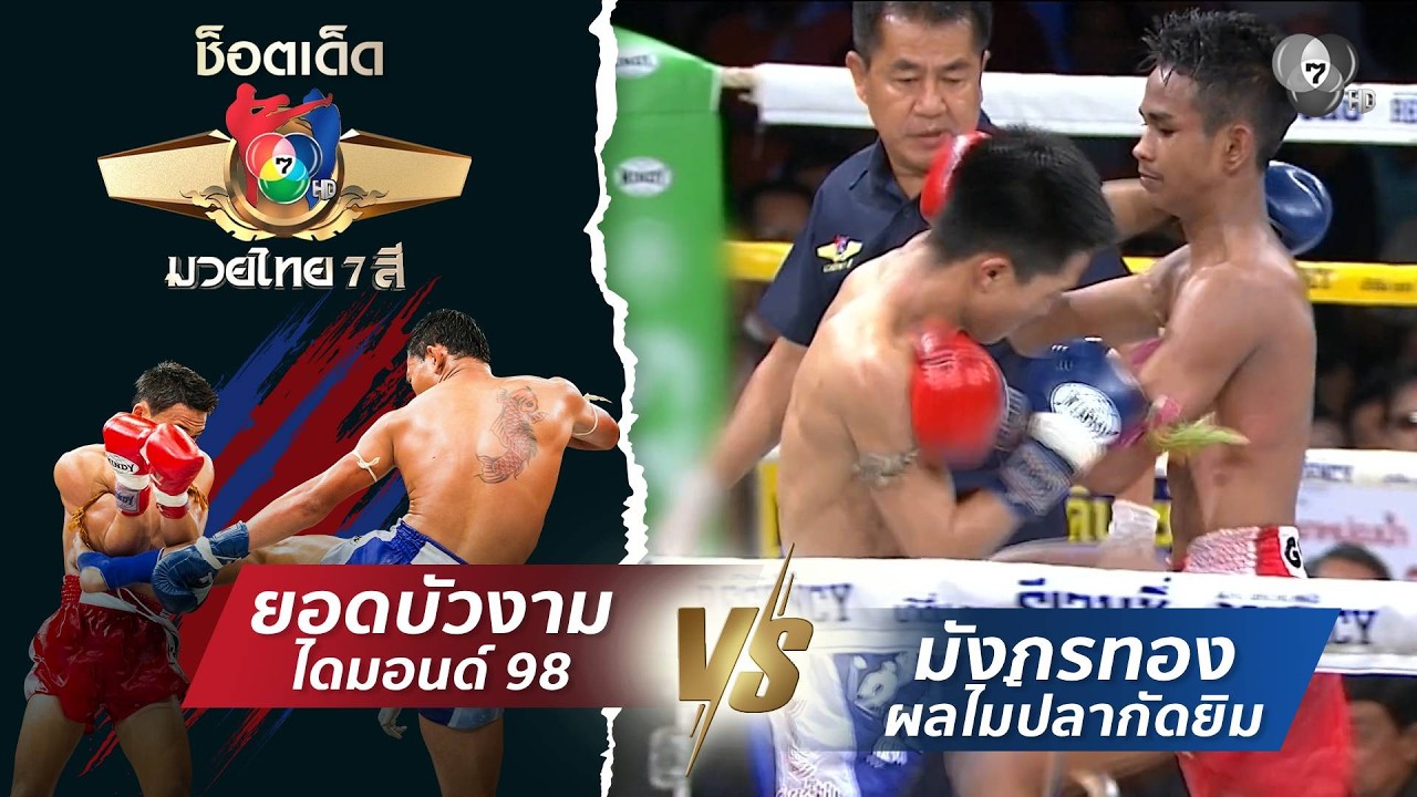 ยอดบัวงาม ไดมอนด์ 98 vs มังกรทอง ผลไม้ปลากัดยิม | ช็อต?