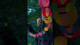 Download lagu August in Japan belongs to Summer Festivals!#tokyo #japan #日本 #vibes #cinematic #aesthetics #travel mp3 Download lagu August in Japan belongs to Summer Festivals!#tokyo #japan #日本 #vibes #cinematic #aesthetics #travel mp3