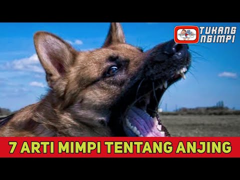 7 Arti Mimpi Tentang Anjing