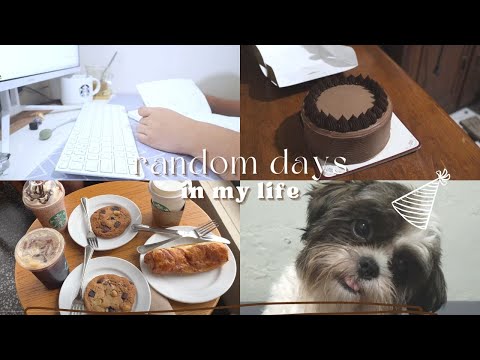 Days in my life Vlog: Taking Web dev exam, Mary Grace Cake, Coffee at SB and Chloe's 2nd barkday :)