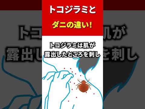 マダニの巣はどこにあるのでしょうか？庭や家ではどんな感じですか？それをどうするか？  庭園