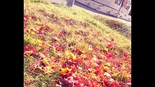 テストライブ配信！
