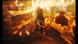 Half Moon Run - Another Woman [Official Visualizer]