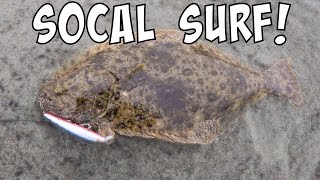 Legal Halibut and more! [SoCal Surf Fishing]
