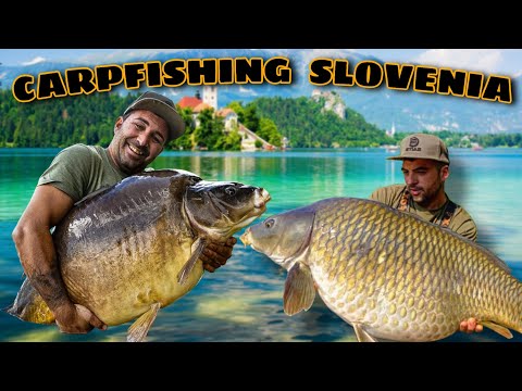 CARPFISHING SLOVENIA