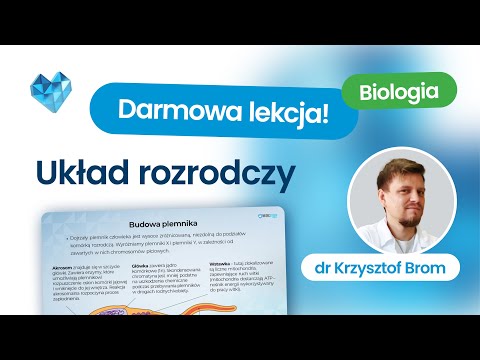 Układ rozrodczy – matura biologia 2026+ Kurs maturalny z biologii Biomedica Darmowa lekcja