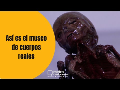 Lo que cubre un seguro de vivienda
