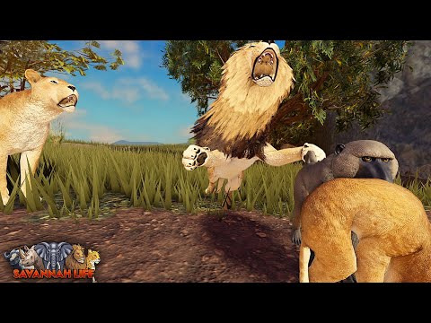 Baboon Stealing Lion Cubs! | ROBLOX Savannah Life