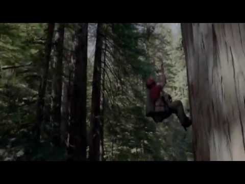 Mit csinálnál akkor, ha a pénz nem számítana?