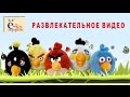 13 Angry Birds Kinder Surprise Chocolate Eggs Киндер ...