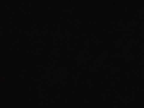 Chasin chicken frestyle💰🅿💯