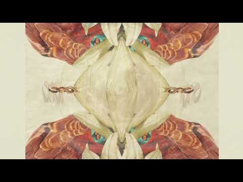 SavaBorsa - Call Of The Forest Spirit Ft. Nalini Blossom (Binder Remix)