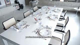 Vídeo de Limoges França | 39 peças | Aparelho de jantar | Porcelana