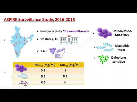 Levonadifloxacin ~ Drug Overview