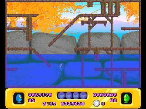 Crazy Seasons picture