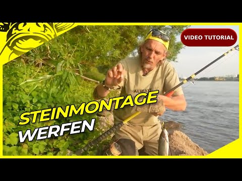 Schritt-für-Schritt Anleitung: Welsangeln vom Rhein-Ufer - Steinmontage Werfen🎣