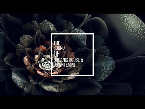 The Sound Of Organic House & Downtempo Vol.2