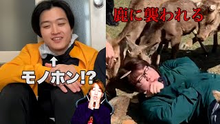 ぺけたん新しくチーム作ったん！？鹿に襲われるぅぅ〜！！【本日の底辺Youtuber #32】