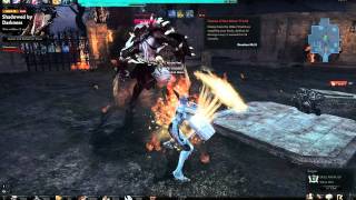 [NA] Vindictus - Fiona Paladin 1st and 2nd Transformation