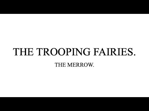 Yeats et al., Fairy and Folk Tales of the Irish Peasantry: IV. The Trooping Fairies 3: The Merrow