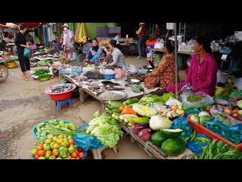 Countryside Food Market on Evening - Plenty Rural Fruit, Rural Fish, Red Ant & More Countryside Food